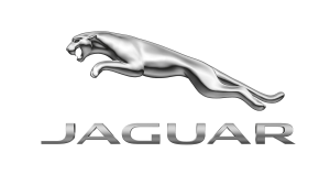 JAGUAR - F-PACE (X761) 16-UP 	